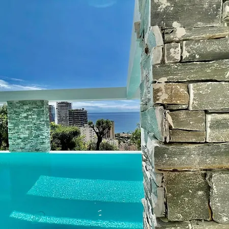 New With Infinite Pool Monaco Prázdninový dům Beausoleil